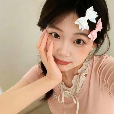 完美拍档2017